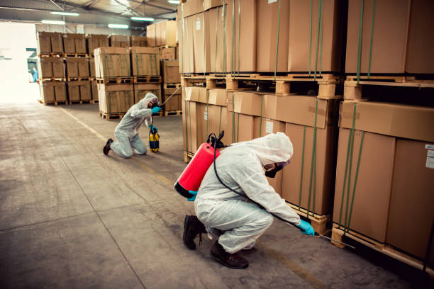 Best Wasp Removal Services  in Bellport, NY