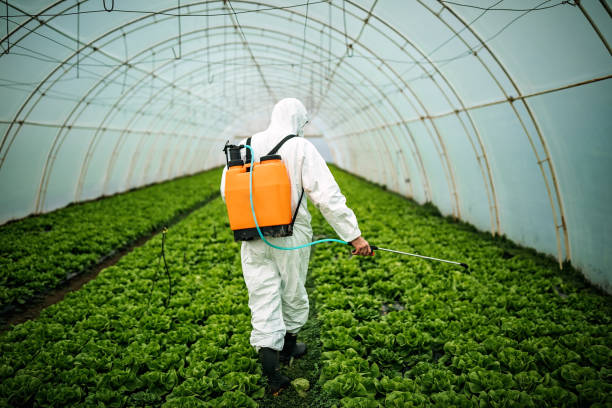 Best Local Pest Control Services  in Bellport, NY