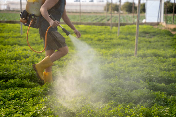 Best Best Pest Control Companies  in Bellport, NY