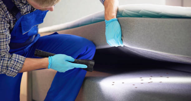 Best Mosquito Control Services  in Bellport, NY